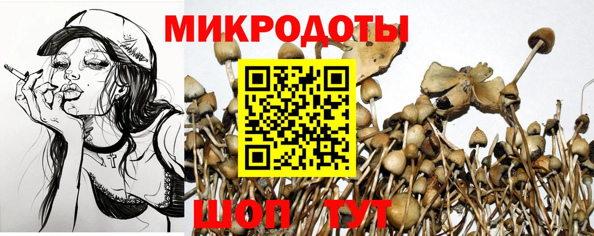 Псилоцибиновые грибы мухоморы  Псилоцибиновые грибы ЛСД  купить наркотики цена  Вход с VPN  Сердобск 