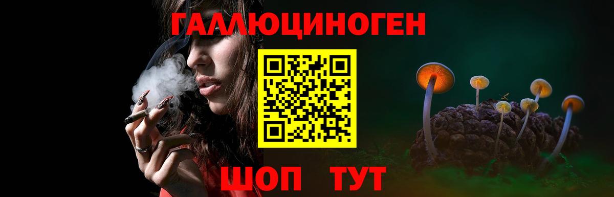 Галлюциногенные грибы мухоморы Сердобск